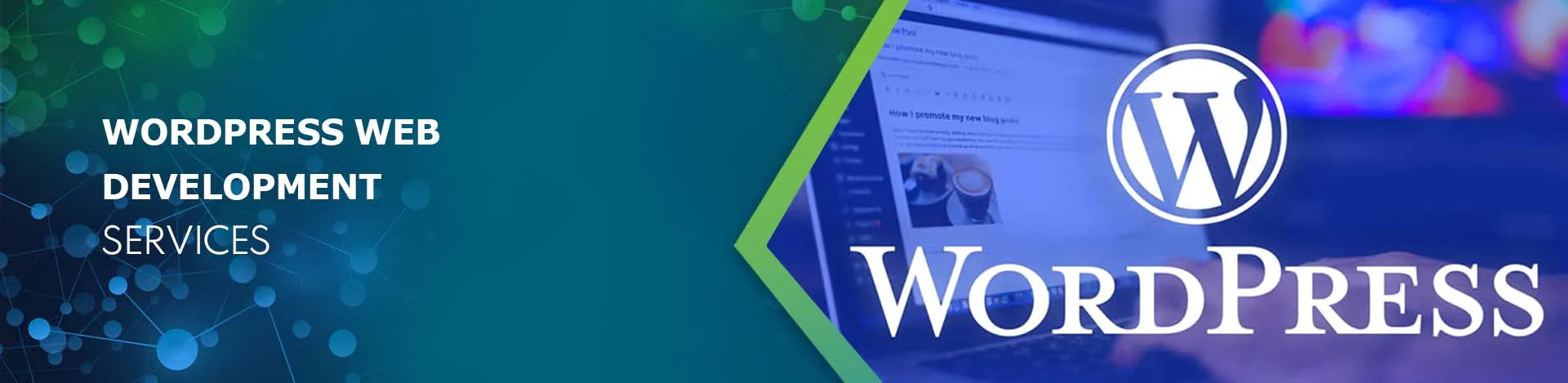 Wordpress Web Development